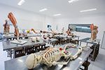 Laboratório de Anatomia